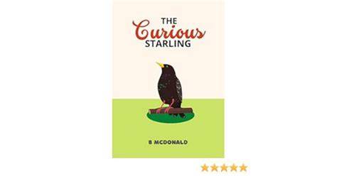 The Curious Starling