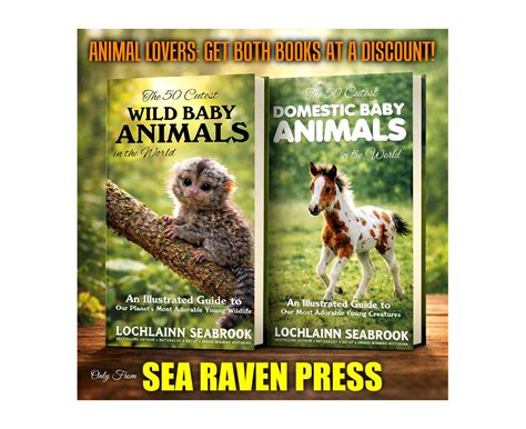 The Cutest Animals