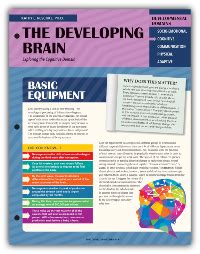 The Developing Brain: Exploring the Cognitive Domain