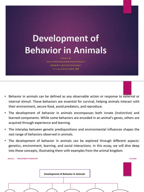 The Development of Animal Behavior: A Reader