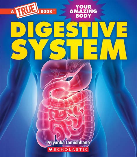 The Digestive Comfort Kitchen
