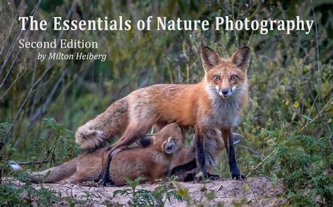 The Essentials of Nature Photography, 2ed