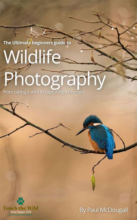 The Essentials of Nature Photography