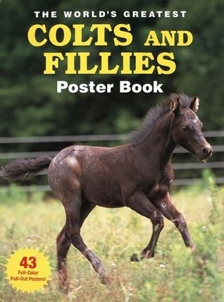 The Fillies