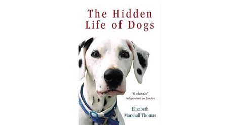 The Hidden Life of Dogs