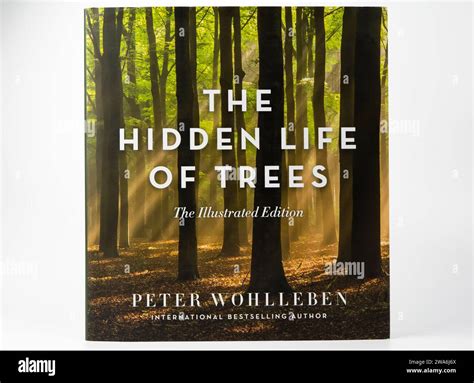 The Hidden Life of Humans