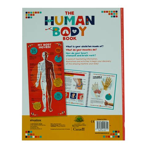The Human Body
