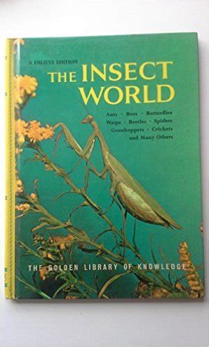 The Insect World
