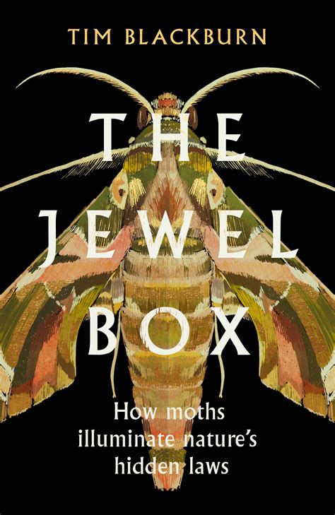The Jewel Box