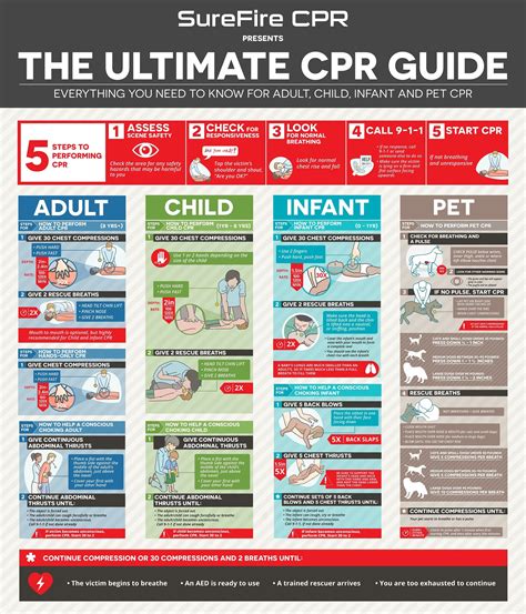 The Lay-Rescuer's CPR Guide