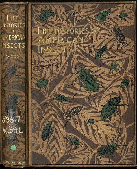 The Life-Story of Insects