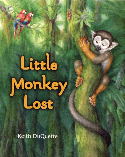 The Little Lost Monkey