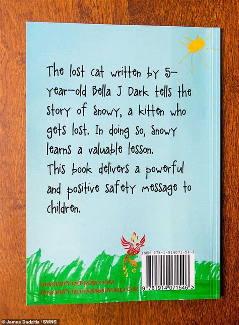 The Lost Cat - Book 1