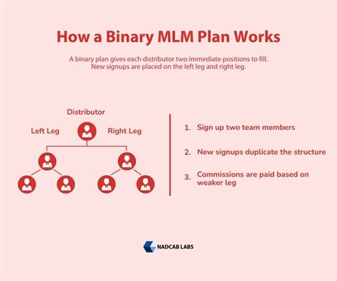 The MLM Binary Plan
