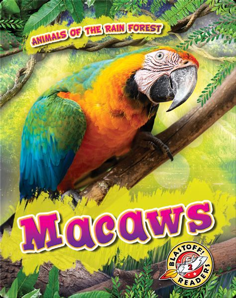 The Macaws