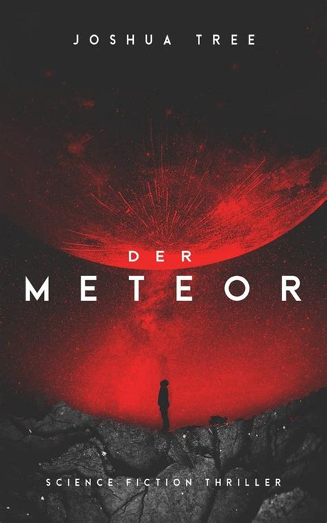 The Meteor (The Meteor, #1)
