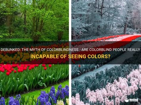 The Myth of Colorblindness