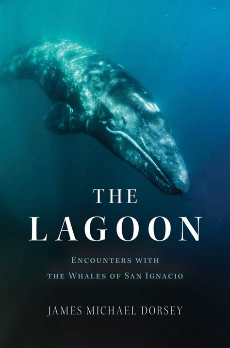 The Night Lagoon
