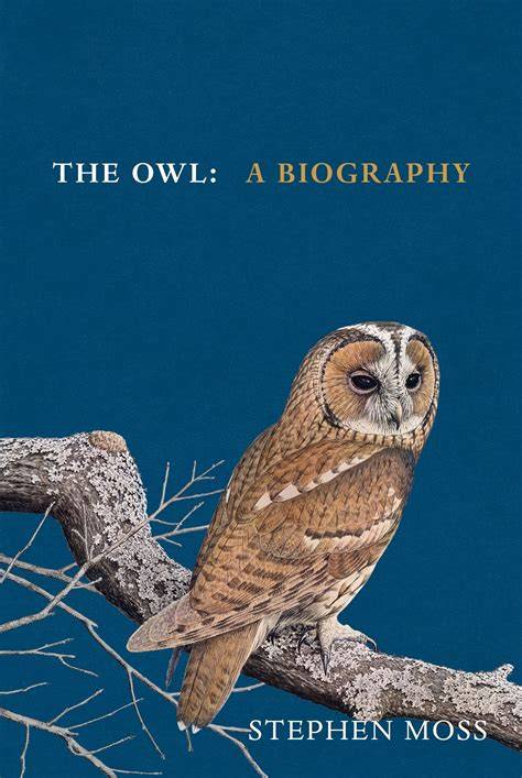The Owl Sight