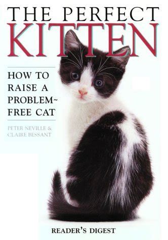 The Perfect Kitten