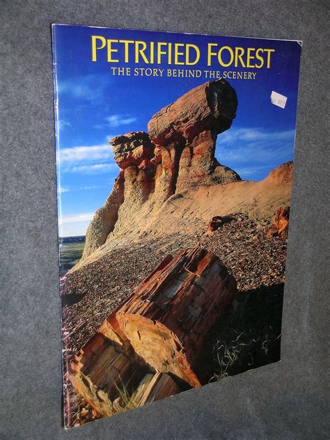 The Petrified Forest