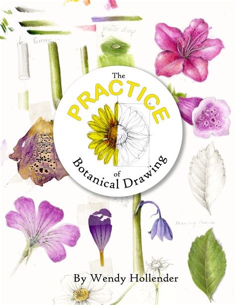 The Practice of Botanical Drawing
