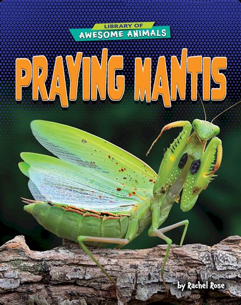 The Praying Mantis