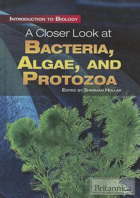 The Protozoa