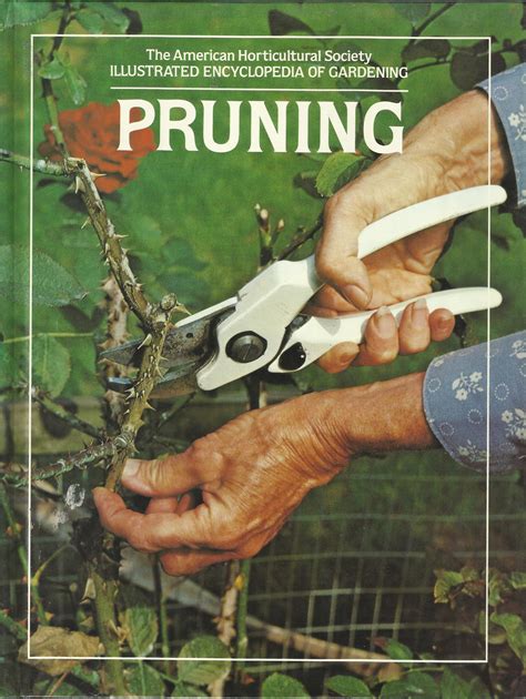 The Pruning Book