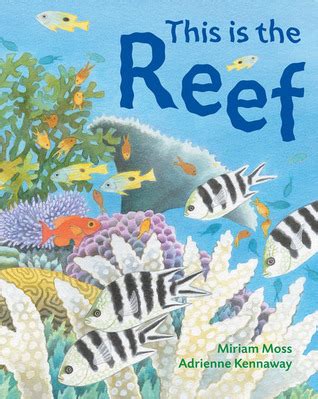 The Reef
