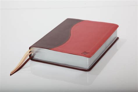 The Scriptures (Duotone Tan)