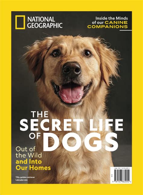 The Secret Life Of Dogs