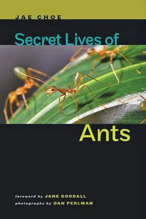 The Secret Life of Ants