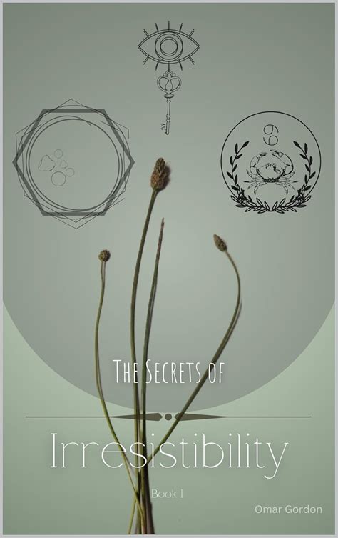 The Secrets of Irresistibility - Book 2