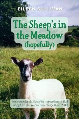 The Sheep's in the Meadow... Hopefully!