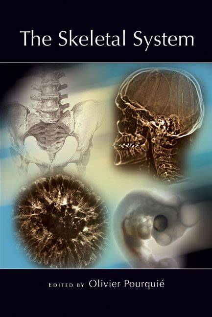 The Skeletal System (COLD SPRING HARBOR MONOGRAPH SERIES)