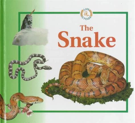 The Snake (Life Cycles)
