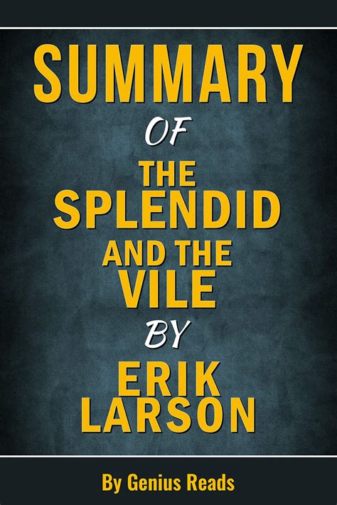The Splendid Vision