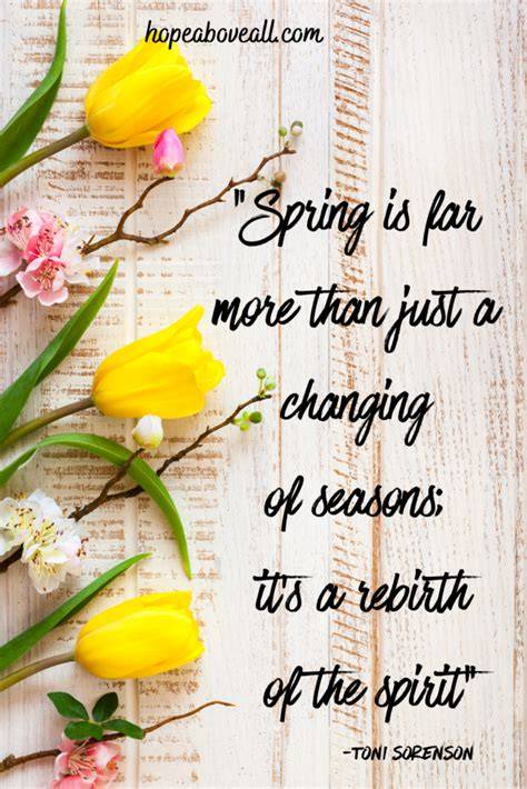The Spring of Hope: Messages from Mary