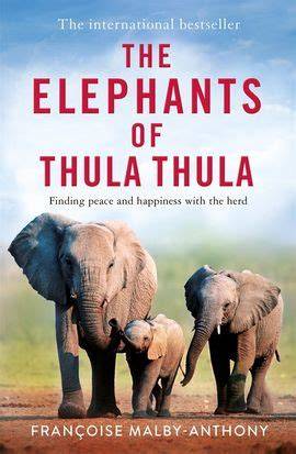The Story of Elephants (Chinese Edition)