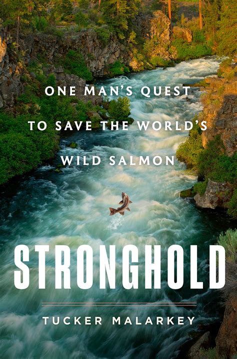 The Stronghold