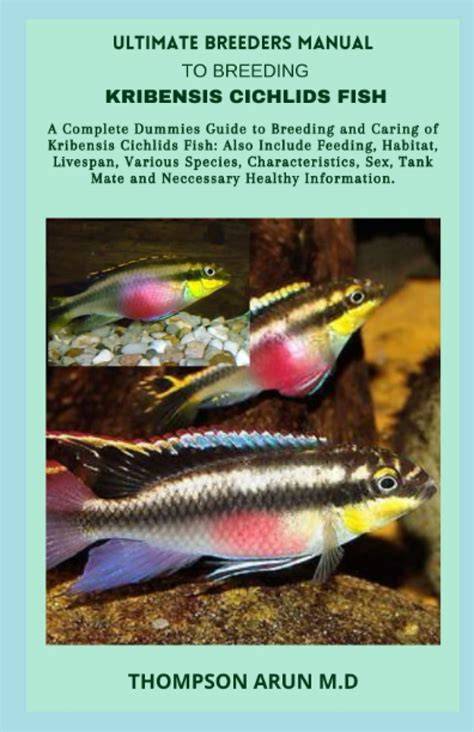 The Ultimate Guide in Caring and Keeping Cichlids Fish