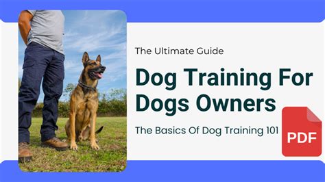 The Ultimate Guide to Dog Training