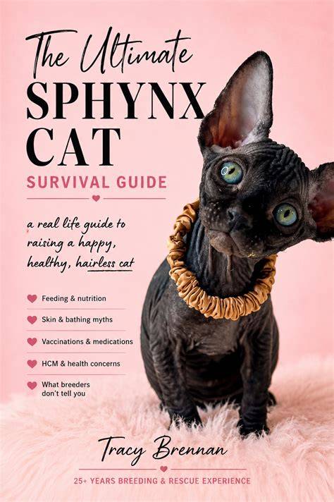 The Ultimate Sphynx Survival Guide
