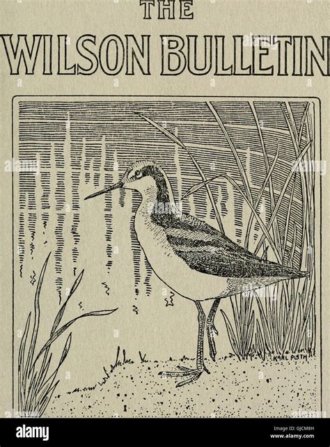 The Wilson bulletin Volume 14-16