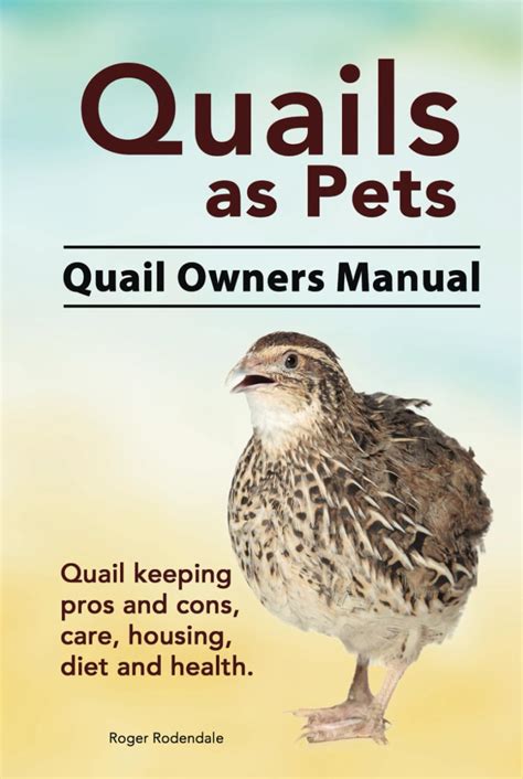 The Writer and the Quail
