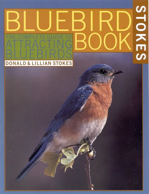 The Year of the Bluebird