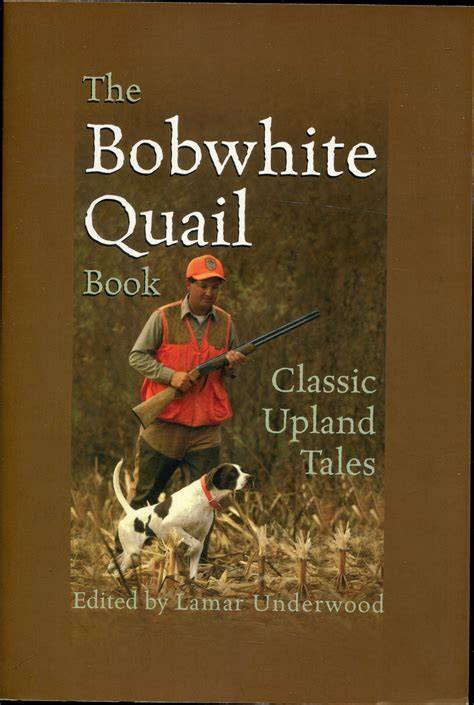 The bobwhite calls