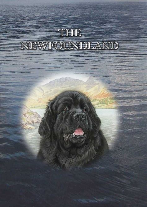 The great Newfoundland
