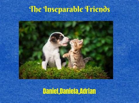 The two inseparable friends